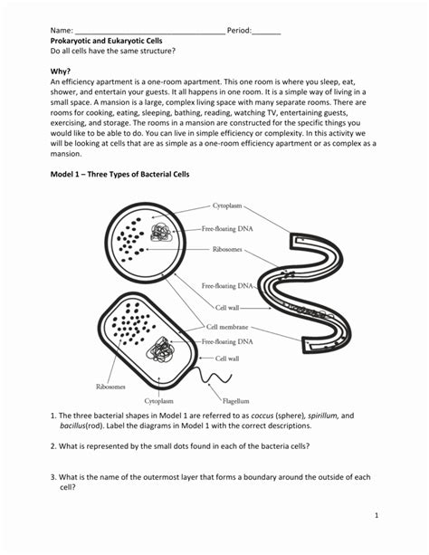 50 Prokaryotes Vs Eukaryotes Worksheet