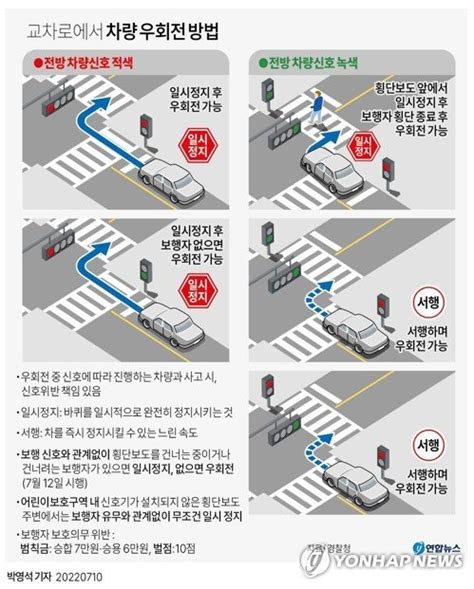 우회전 때 꼭 보행자 확인개정 도로교통법 모레 시행 파이낸셜뉴스