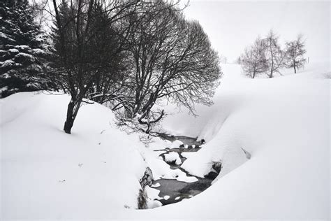 Storica Tempesta Di Neve Paralizza La Nuova Scozia In Canada Meteo