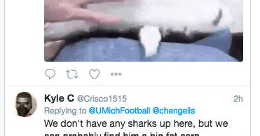 Michigan’s Twitter mentions filled with sharks after Jim McElwain hire ...