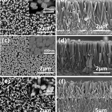 Xrd Patterns Of The Tio2 Nras Tio2 Nraszno Nps And Tio2zno Nanorod