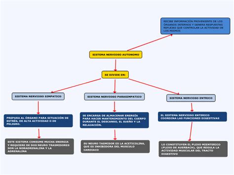 Sistema Nervioso Autonomo Mind Map