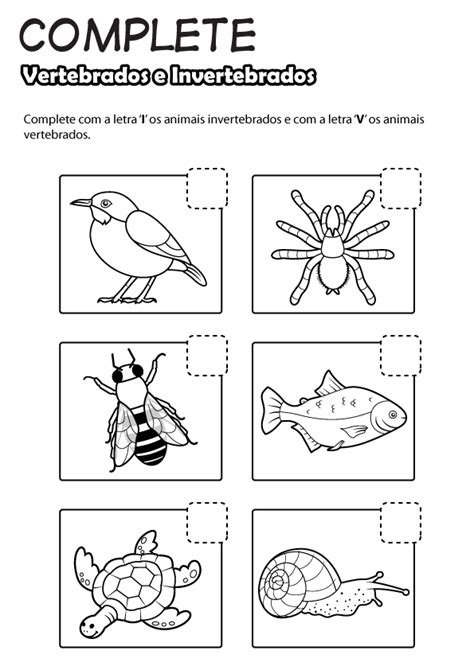 Atividade Animais Vertebrados E Invertebrados Corte E Colagem