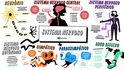 Mapas Mentais Sobre Sistema Nervoso Study Maps