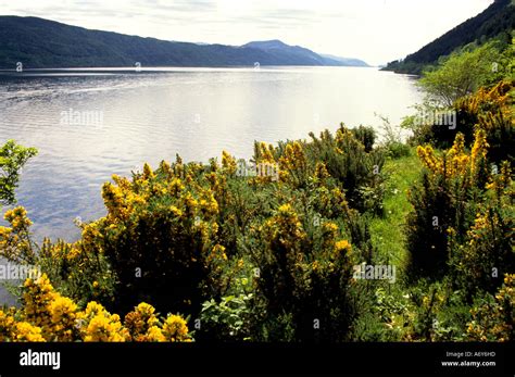 Loch Ness Nessie Scottish Scotland lake Stock Photo - Alamy