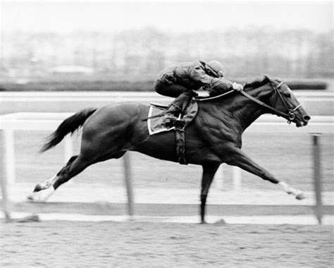 Una pizca de Cine Música Historia y Arte Secretariat Un caballo de