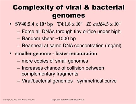 Ppt The Structure Of The Genome Powerpoint Presentation Free