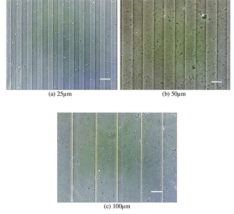 Pdms Stamps With A M B M And C M Width Scale Bar M