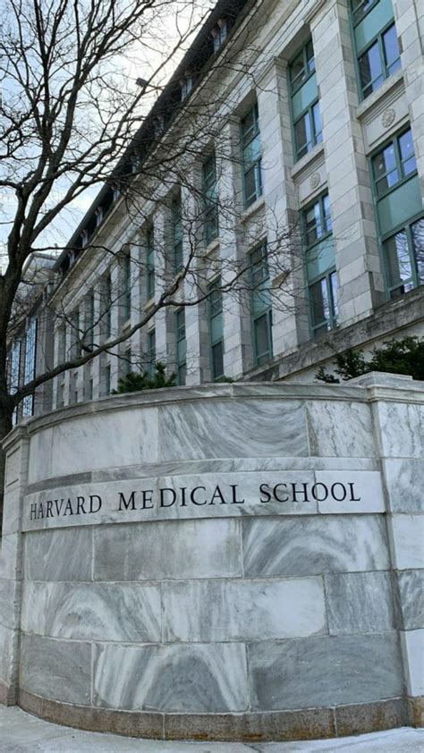 harvard medical school🩺🤍 | Drømme liv, Future, Drømme