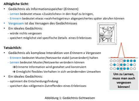 Kap 8 Denken Gedächtnis Karteikarten Quizlet