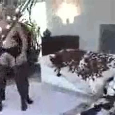 Dear I Can T Believe You Talked Me Into This Free Porn B Xhamster