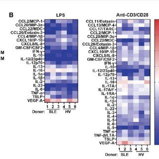 Kzr Selectively Inhibits The Immunoproteasome And Blocks Cytokine