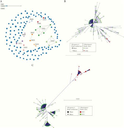 A Phylogenetic Analysis Of Hepatitis C Virus Transmission Relapse And