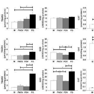 Oxidative Stress Assessment In Cardiac Renal And Muscle Tissues Of