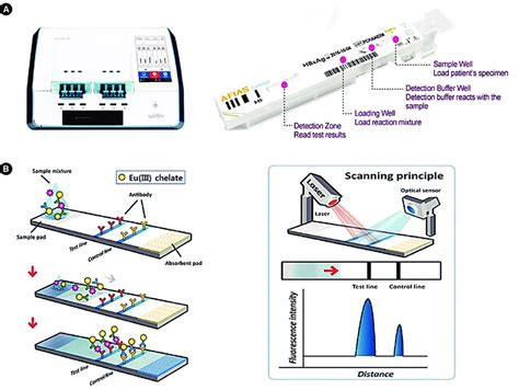 Rapid Lateral Flow Immunoassay For The Fluorescence 59 Off