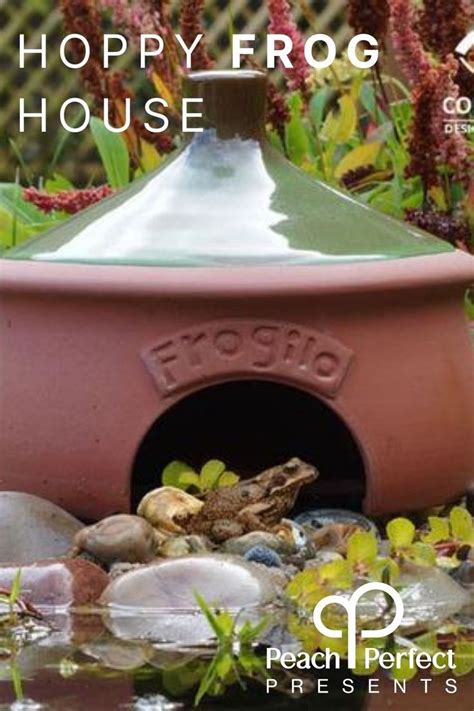 Dome shaped terracotta frog habitat with green tagine style roof, with a frog in the garden Frog ...