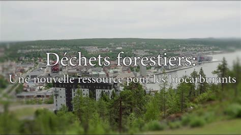 GLOBAL BIOENERGIES Déchets forestiers une nouvelle ressource pour