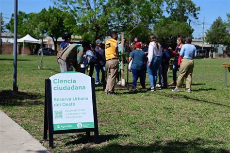 Ciudad verde 600 nuevos árboles fueron plantados en el norte de la