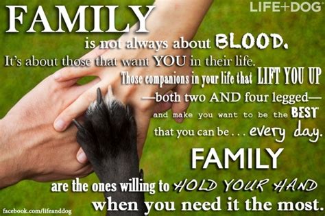 Pets Are Family Quotes. QuotesGram