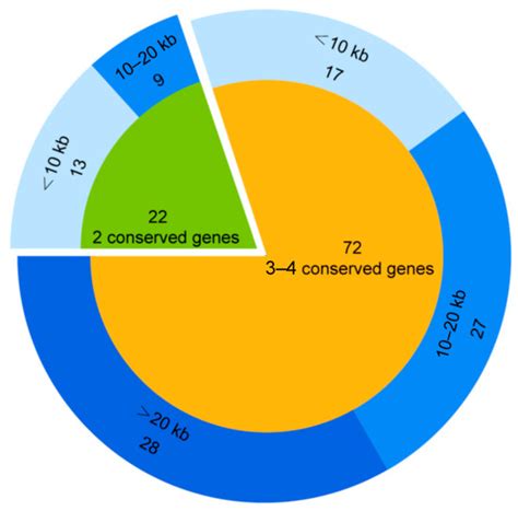 Viruses Free Full Text Diversity Relationship And Distribution Of