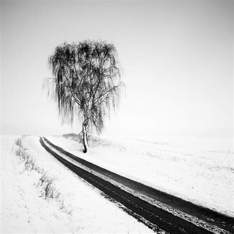 Top 20 Black And White Photos On 500px So Far This Year Landscape