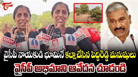 వసప అభమన ఆవదన చడడ YCP Fans Fires On Peddireddy Ramachandra