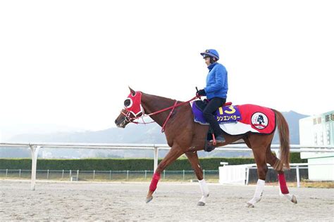 【ホープフルs】超良血シンエンペラーが真の皇帝へ、世界進出への第一章｜競馬ニュース｜競馬予想のウマニティ