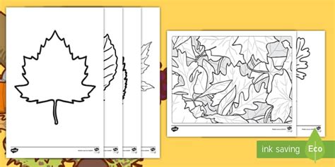 Feuilles De Coloriage Feuilles D Automne Twinkl