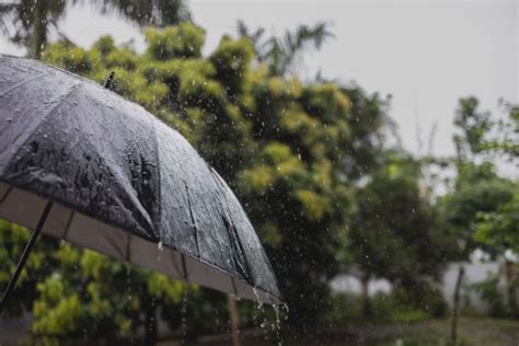 Inmet Emite Alerta Laranja Para Chuvas E Ventos Intensos Veja Onde