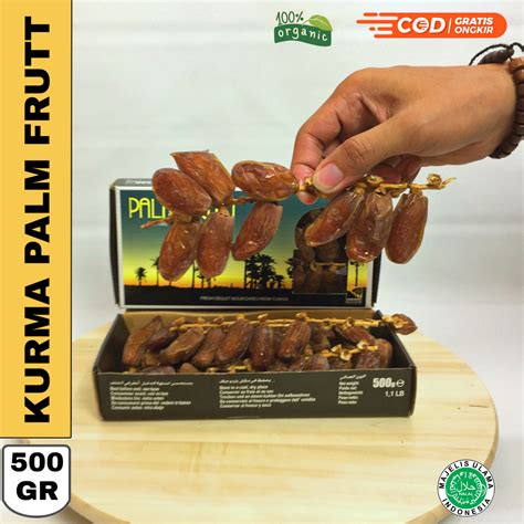 Kurma Palm Fruit Gr Palm Frutt Tangkai Gram Kurma Palm Bisa