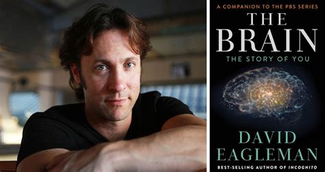 Ap Psychology Ahs The Brain With David Eagleman On Pbs