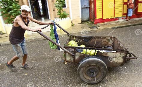 Coconut Seller Dominican Republic Editorial Photography Image Of