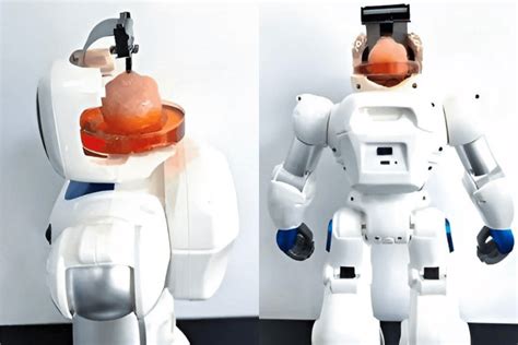 Cient Ficos Crean Robot Con Cerebro Artificial A Base De C Lulas