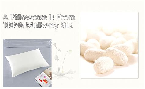 100 Pure Mulberry Silk Pillowcase With Zipper For Skin