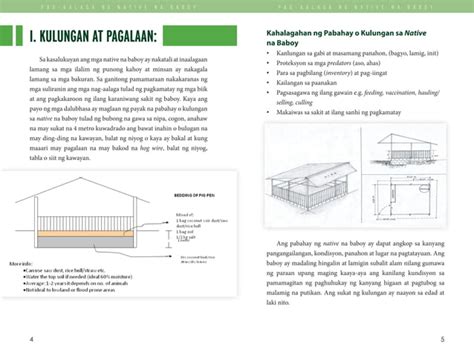 Pag Aalaga Ng Native Na Baboy Pdf