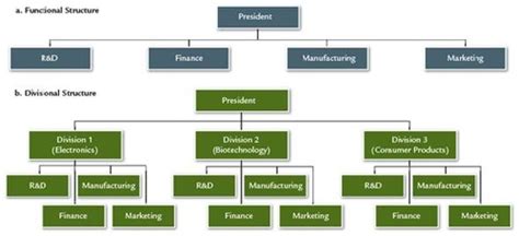 Organizational Structures And Leadership Hierarchy Flashcards Quizlet