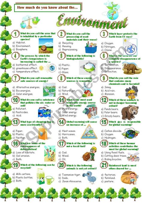 Environment Quiz ESL Worksheet By Jayce