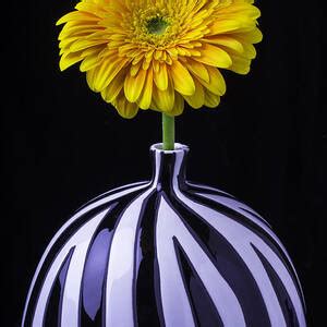 Columbine With Butterfly Photograph By Garry Gay