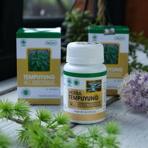 Jual TEMPUYUNG Herbal Indo Utama HIU Kapsul Ekstrak Daun Sonchus Obat