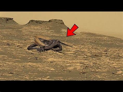 NASA Mars Perseverance Rover Sent New 4k Footage Live New Footage Of