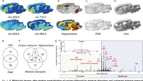 Figure From Spatially Resolved Top Down Proteomics Bridged To Maldi