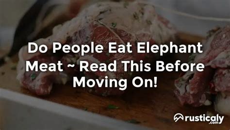 Do People Eat Elephant Meat > The Easiest Explanation