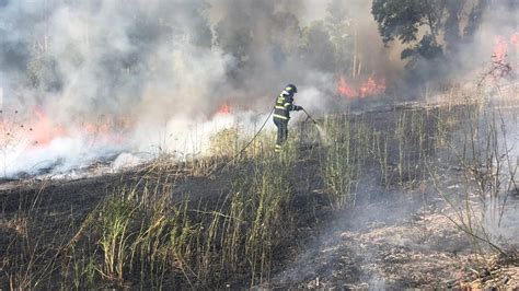 Incendi A Roma Fiamme A Casal Monastero Laurentino E Castel Di Guido