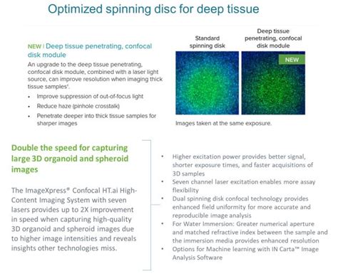 3D ORGANOID AND SPHEROID IMAGING Eisenberg Bros LTD