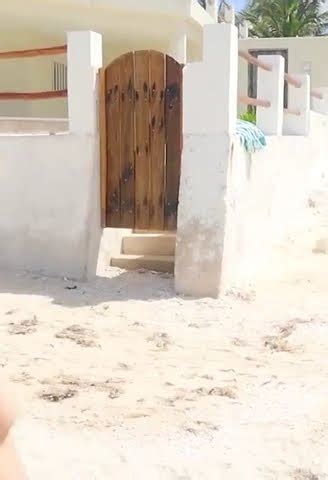 Shein Bikini Collection Anastasiia Zhurbenko YouTube