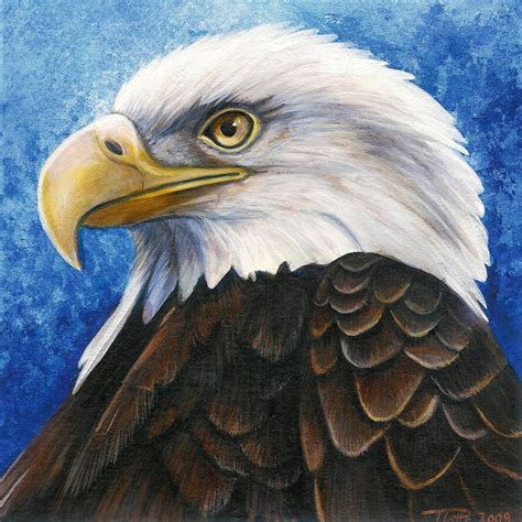 Bald Eagle Portrait By Dragonosx On Deviantart Eagle Painting Bald