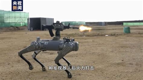 China Shows Off Latest Version of Its Weaponized Robot Dog in Cambodia ...