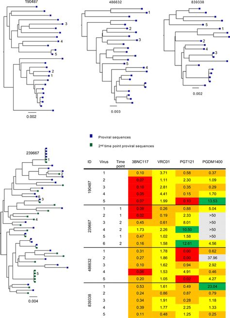 Maximum Likelihood Phylogenetic Trees Of Proviral Hiv 1 Envelope