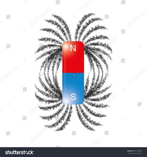 Iron Filings Magnetic Field Lines Vector Stock Vector (Royalty Free) 307018382 | Shutterstock