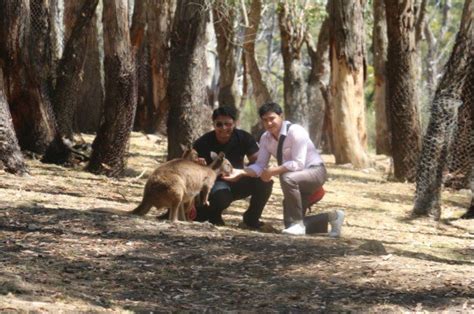 Cleland Wildlife Park | pureSA